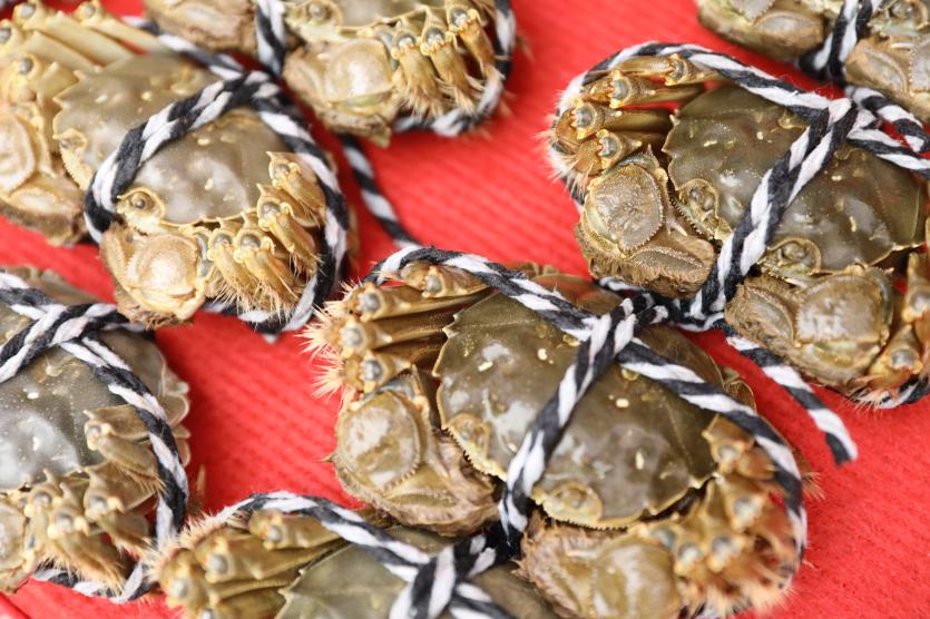 沱湖螃蟹甲天下