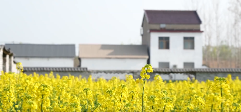 直播讲政策  聚力促振兴